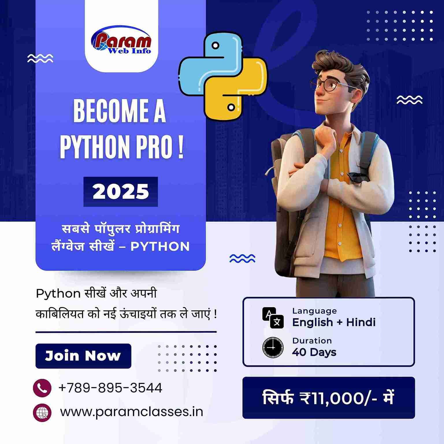 Become a Python Pro in 40 Days with Paramclasses